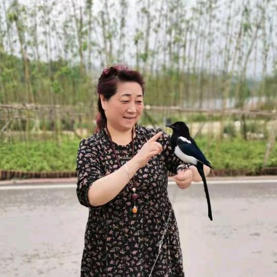 用户6534104548046
