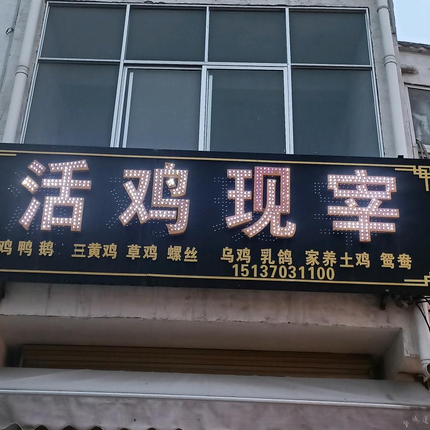 王小岳