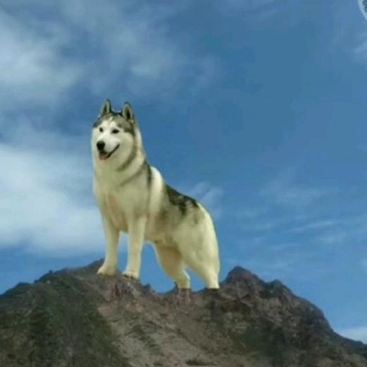 大家都叫我  刚哥