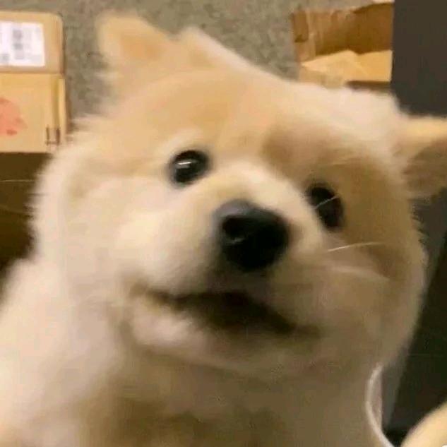 还在想