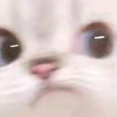 秋雪