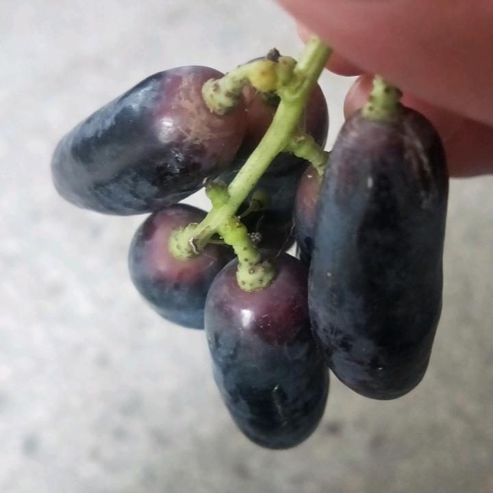 一杯清酒，当人生