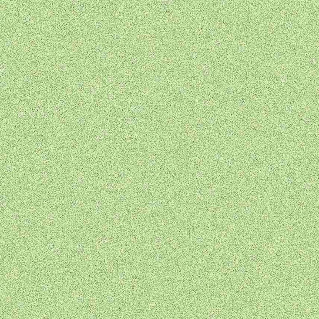 夏课