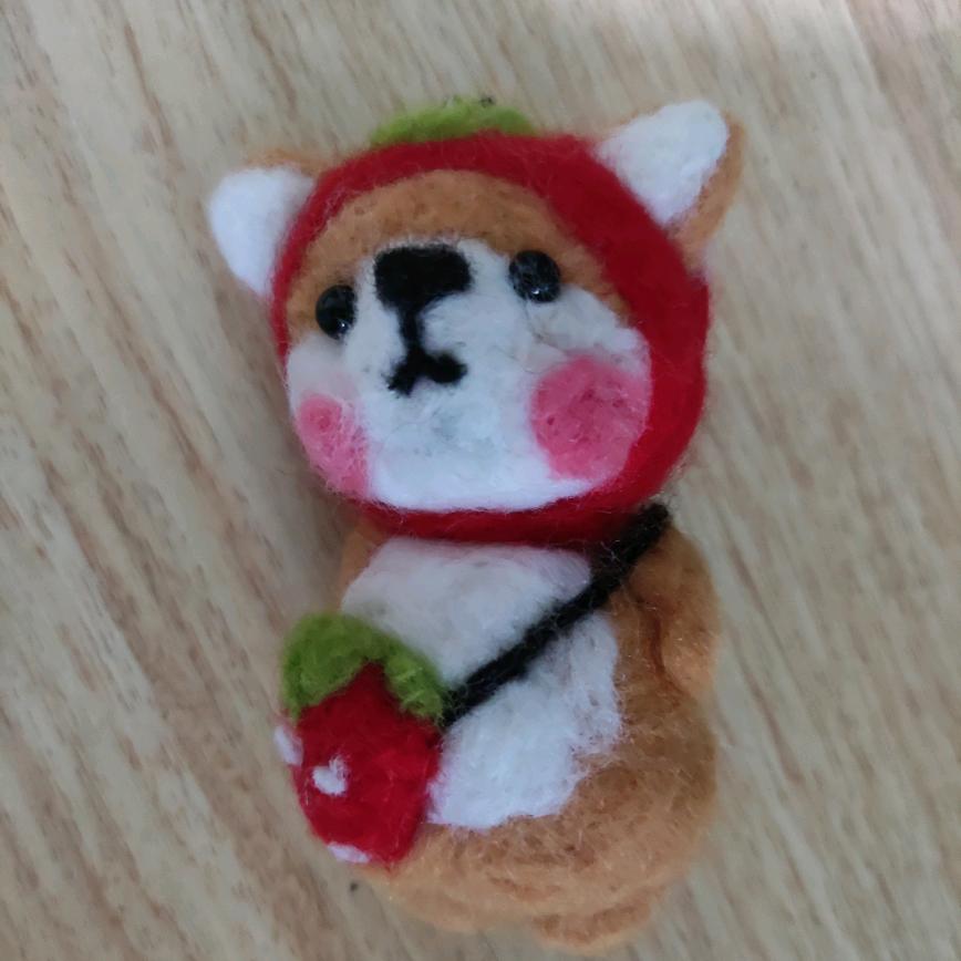 小船长