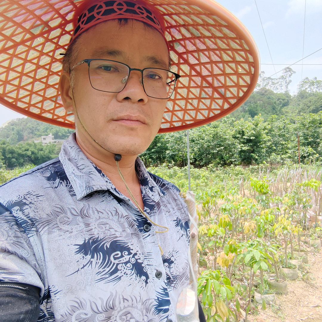 专业嫁接 刘哥