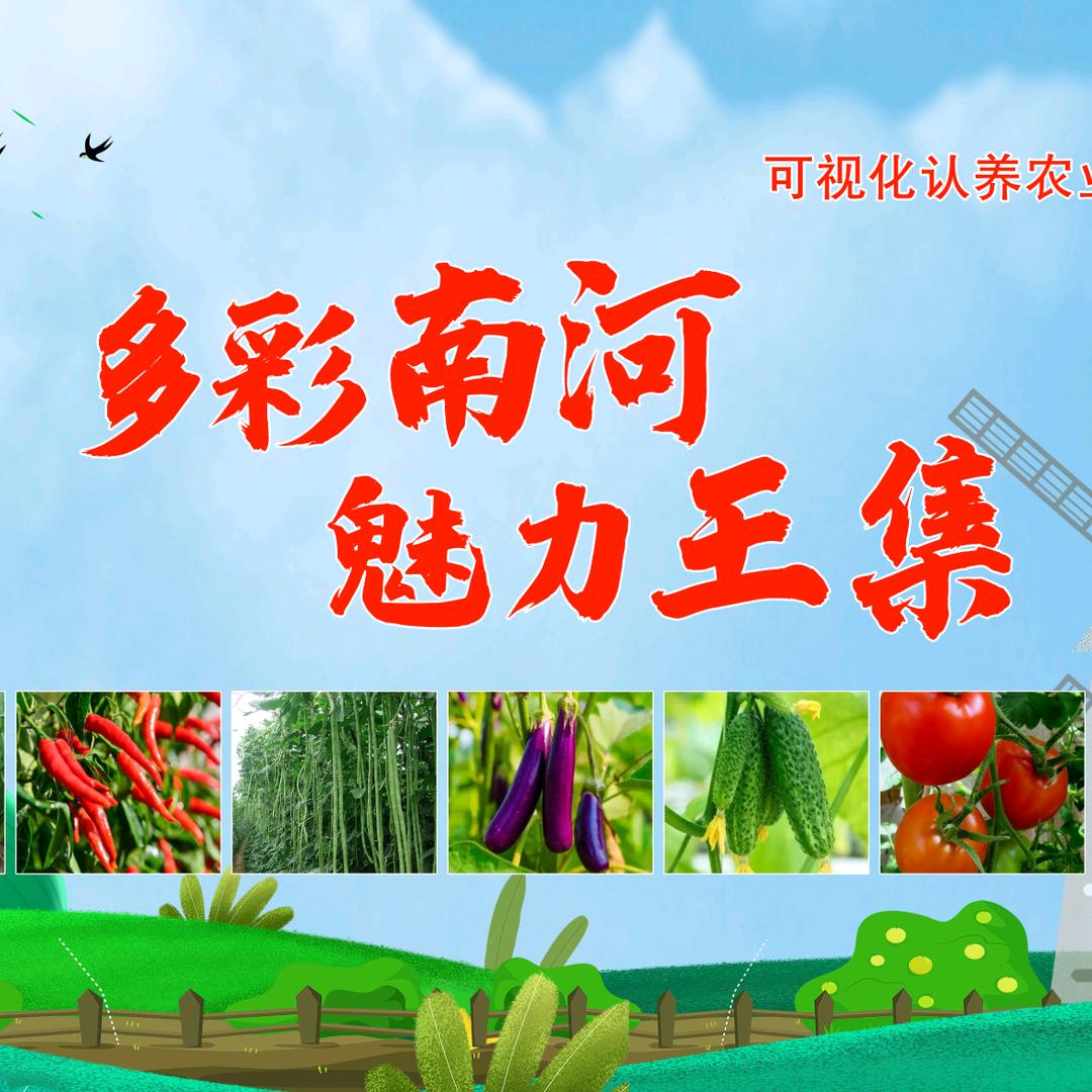 多彩南河（王集村）