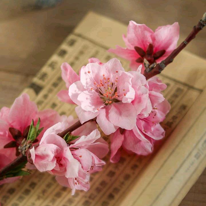 暖阳.好物