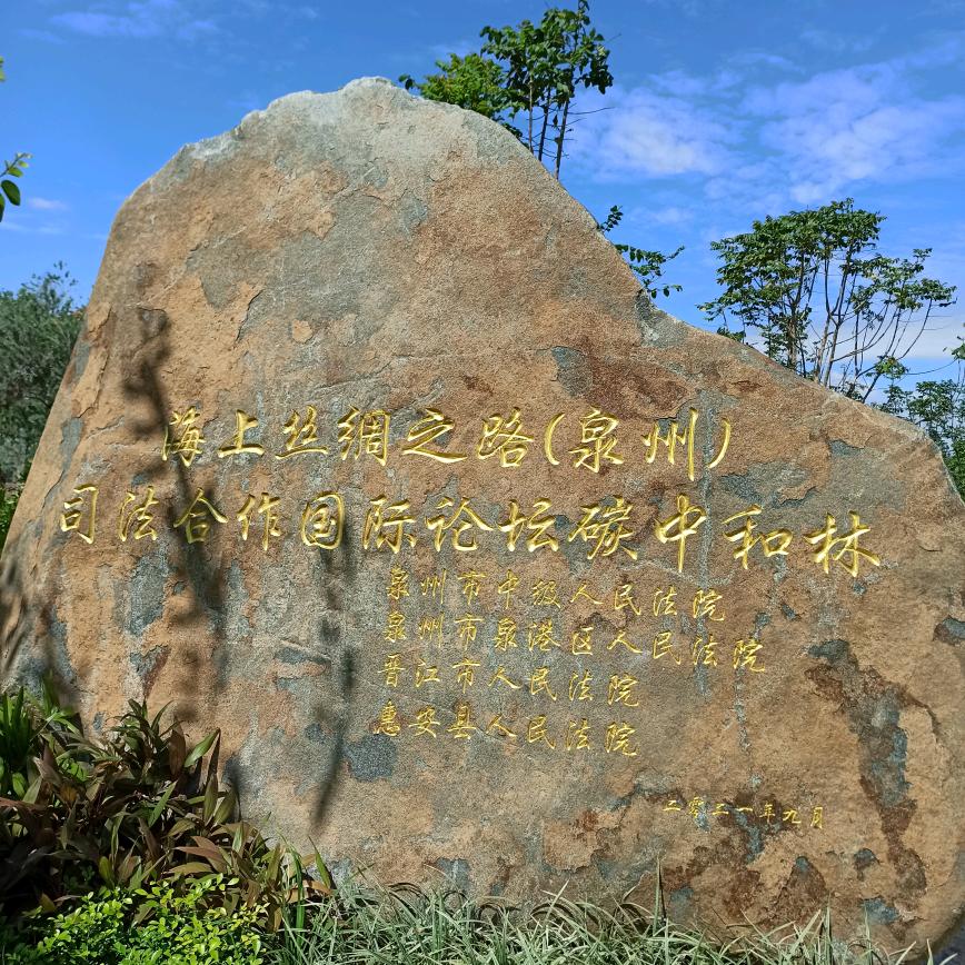转一圈
