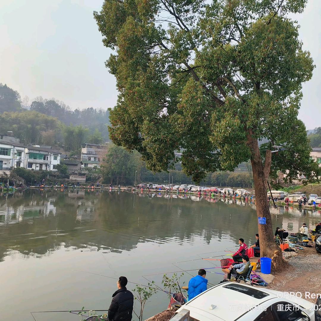石岗休闲垂钓中心之鲢鳙专场