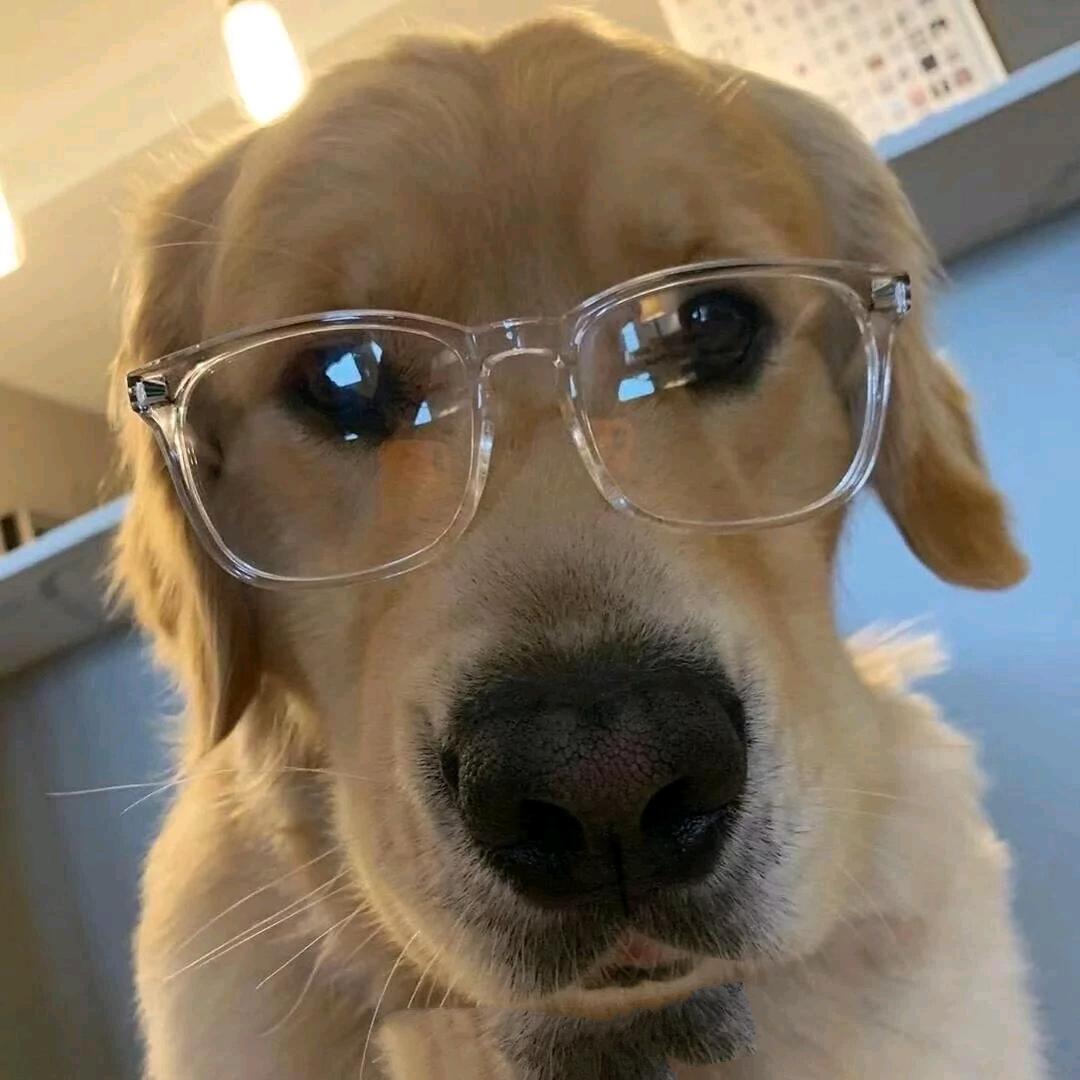 小源已经很努力了✊