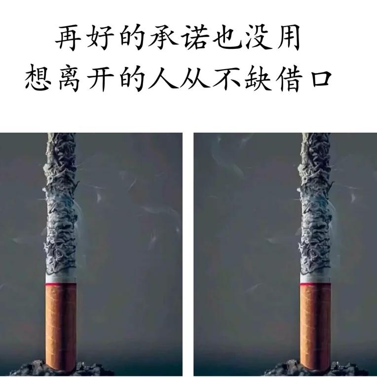 霸天一只鸡🐔