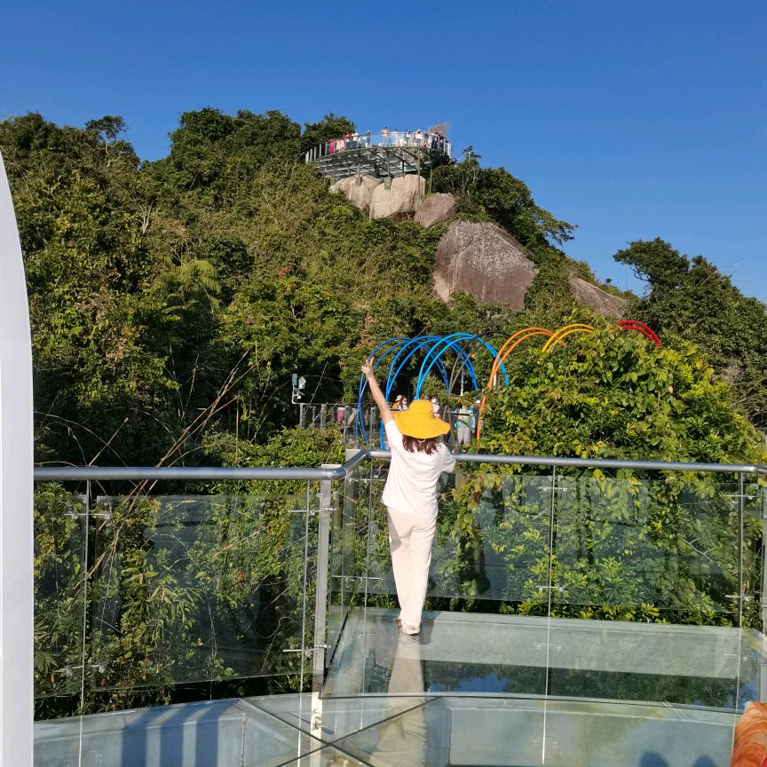 🍀🌹夏天的风🌻