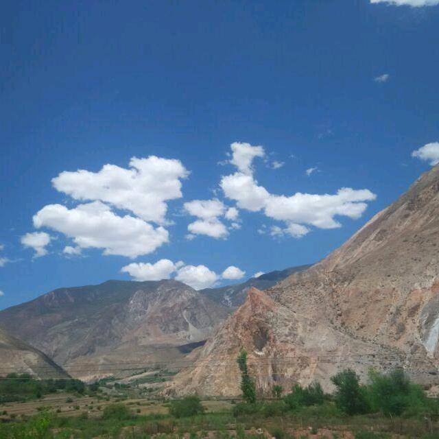 狗拿耗子不管闲事