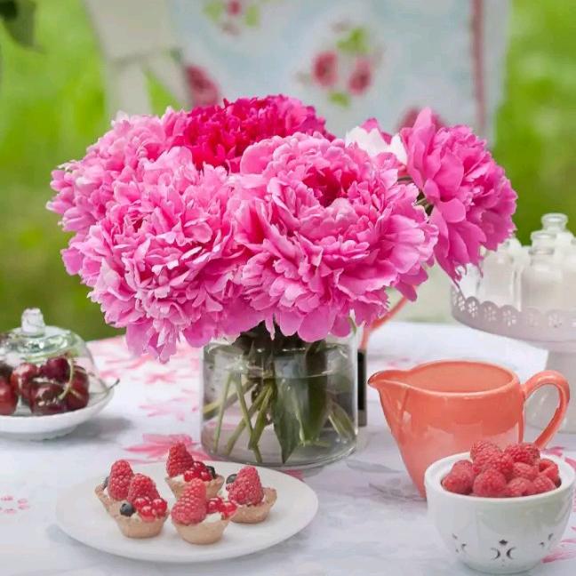 幸福快乐每一天