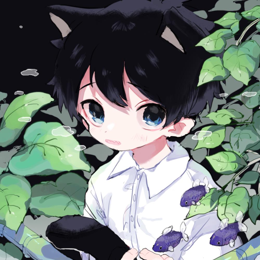 KK猫视