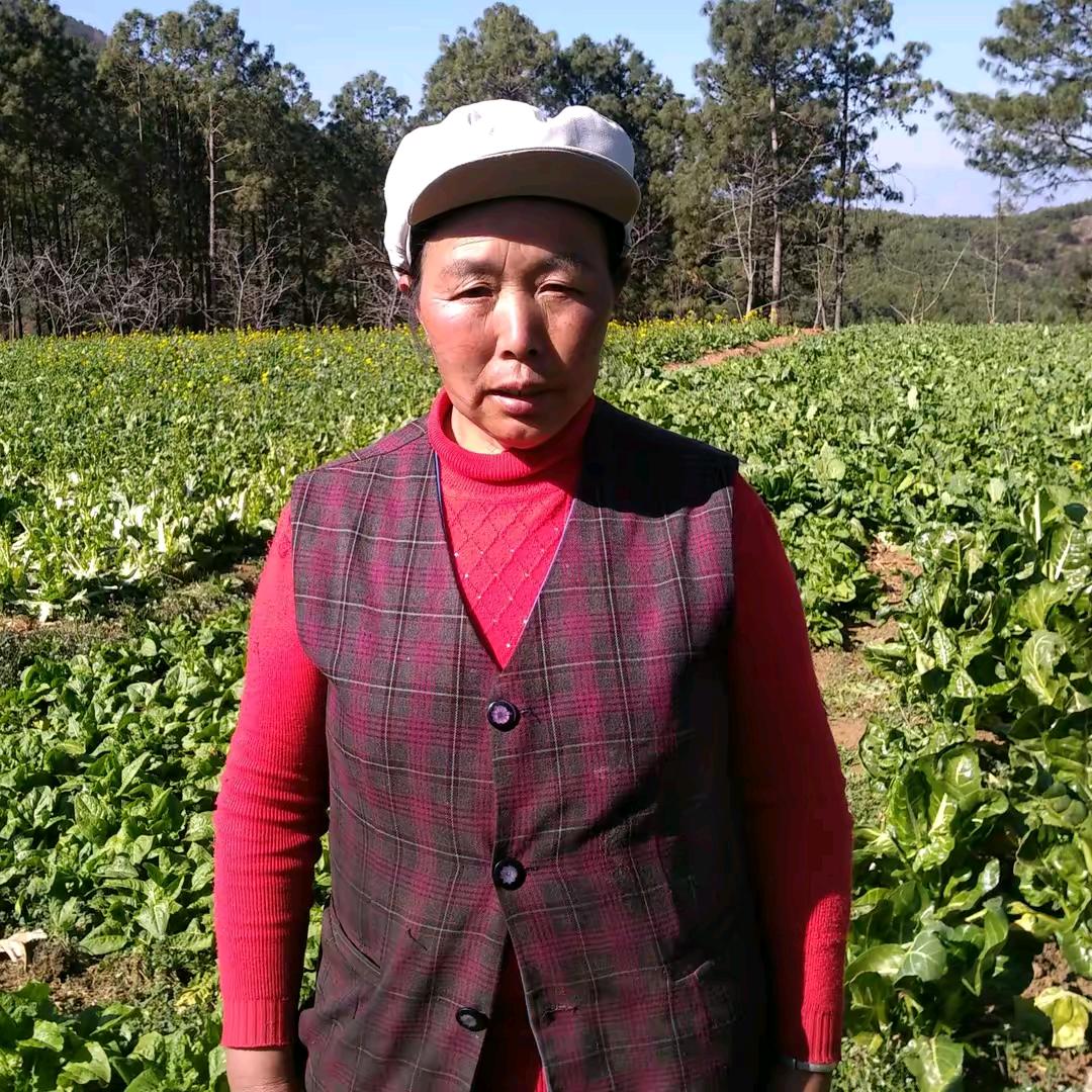 蔡林小号