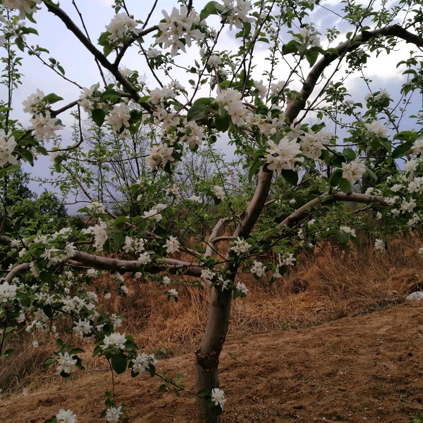 用户91228641