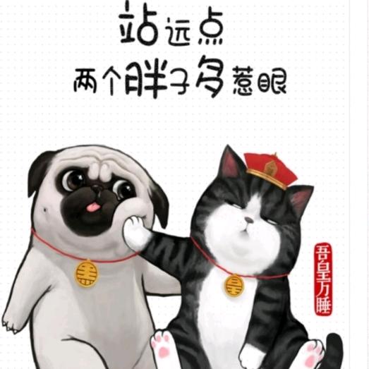 尐语乀