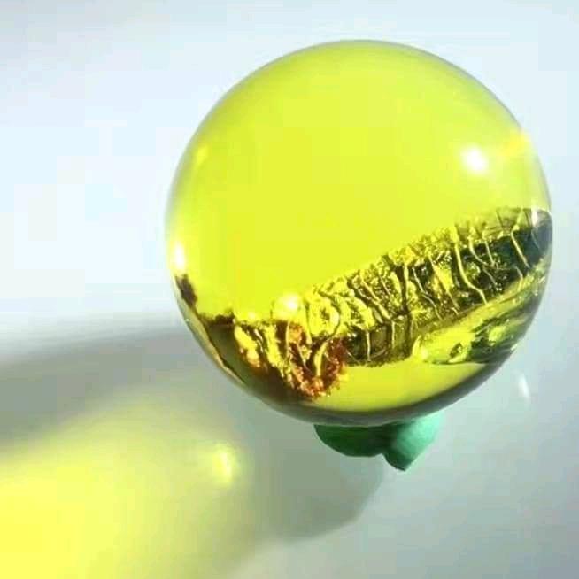 金珀良緣-Kim Amber