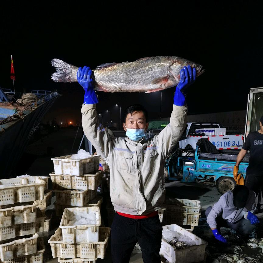 羊口阿文海鲜