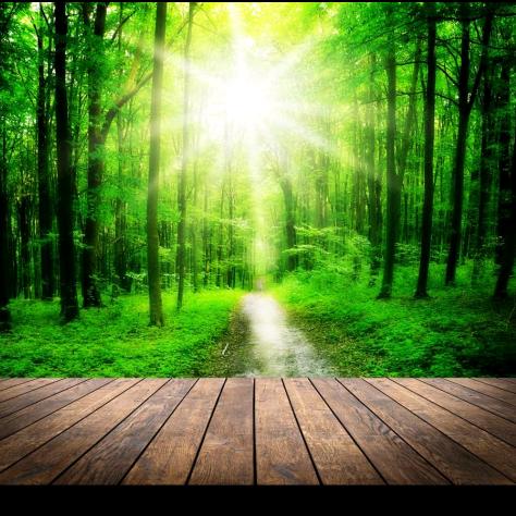 庄河—瓦房店出租车返程