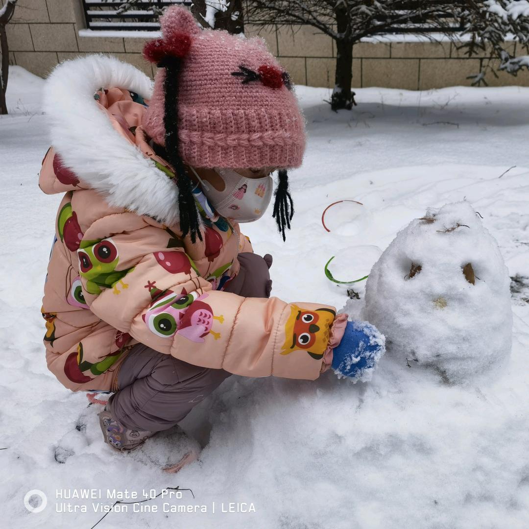 嗨哟～嗨哟～拔萝卜！