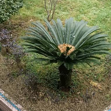 半生已过(拒绝连赞。)