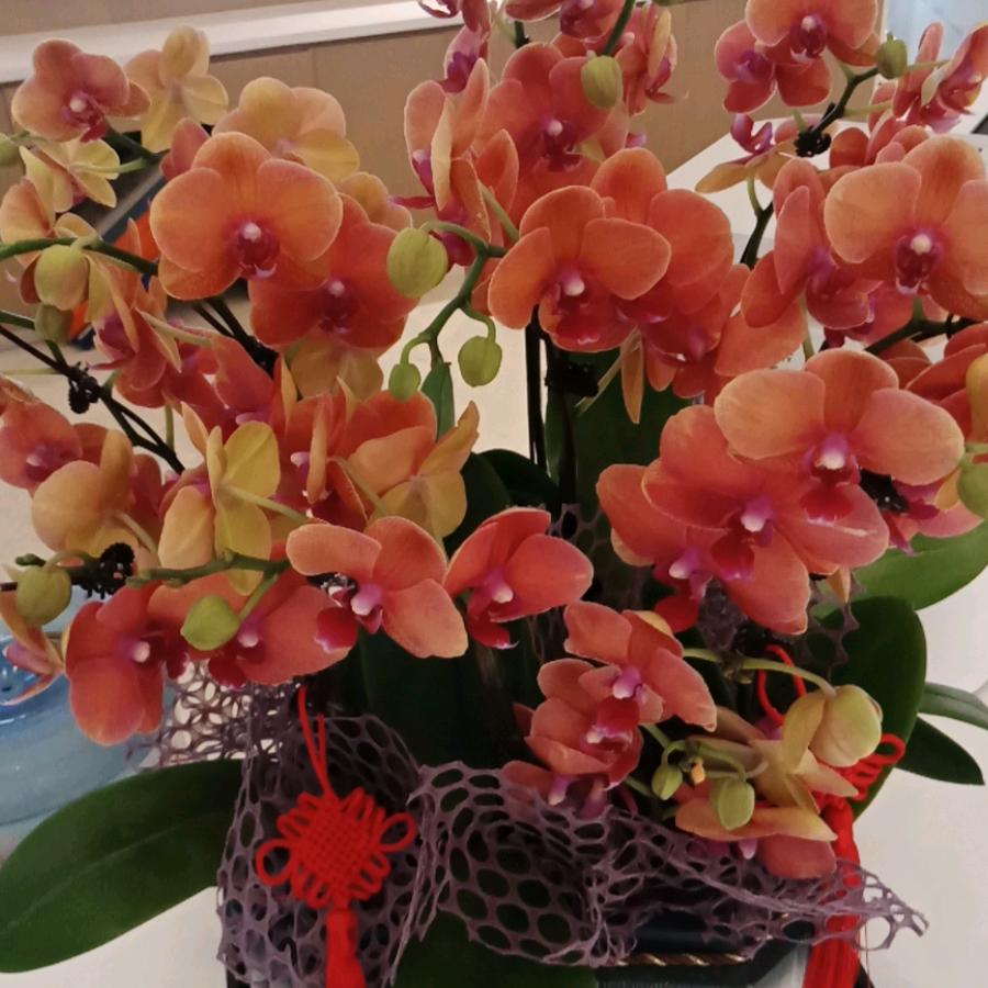 不忘初心，方得始终