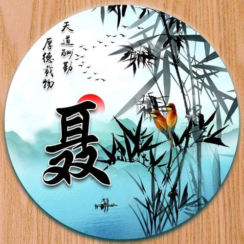 聂小聂