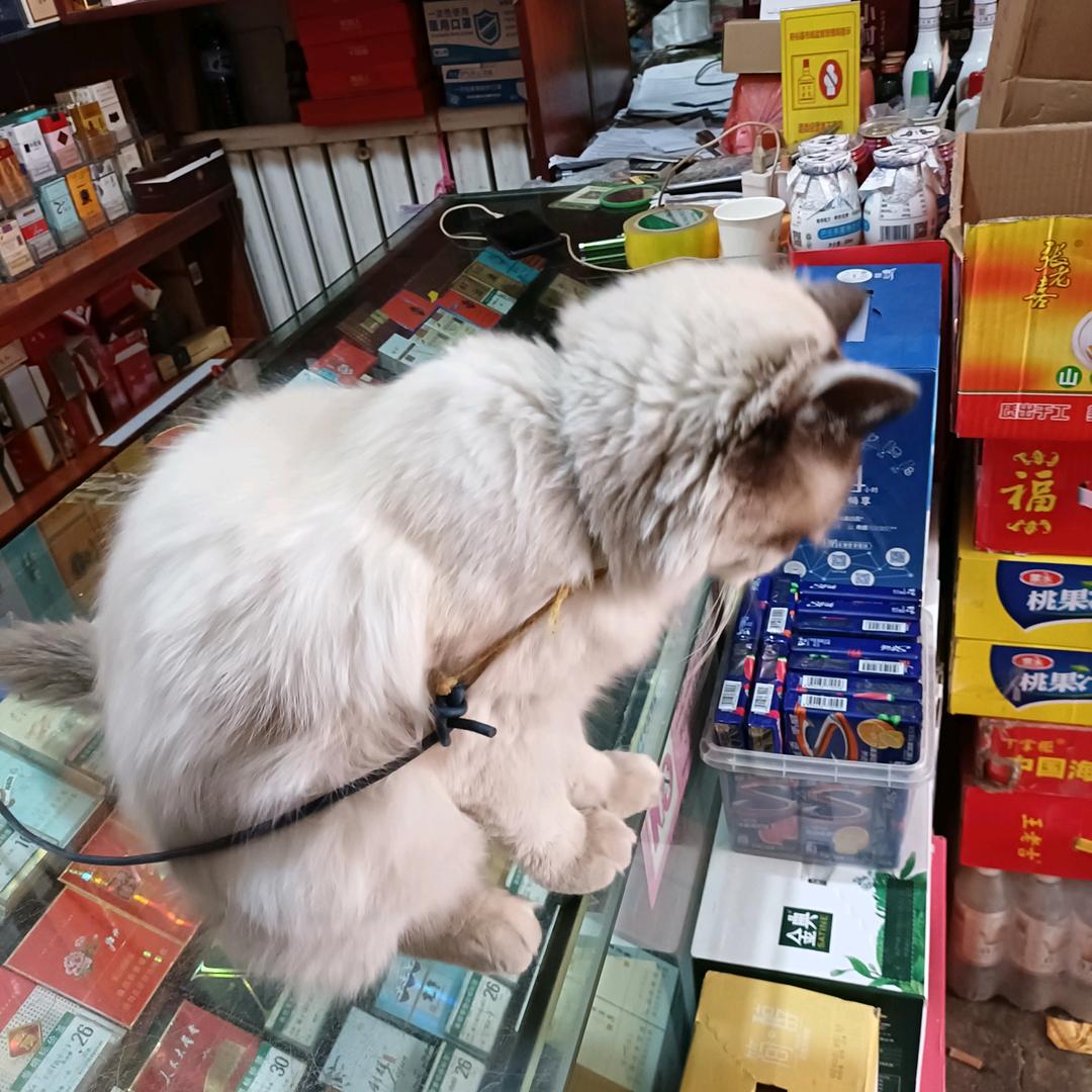 用户5162995527735群规