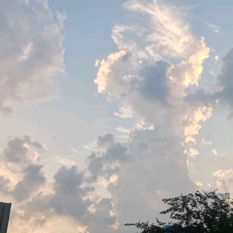 君不见黄河之水天上来