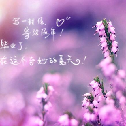 孤者何惧