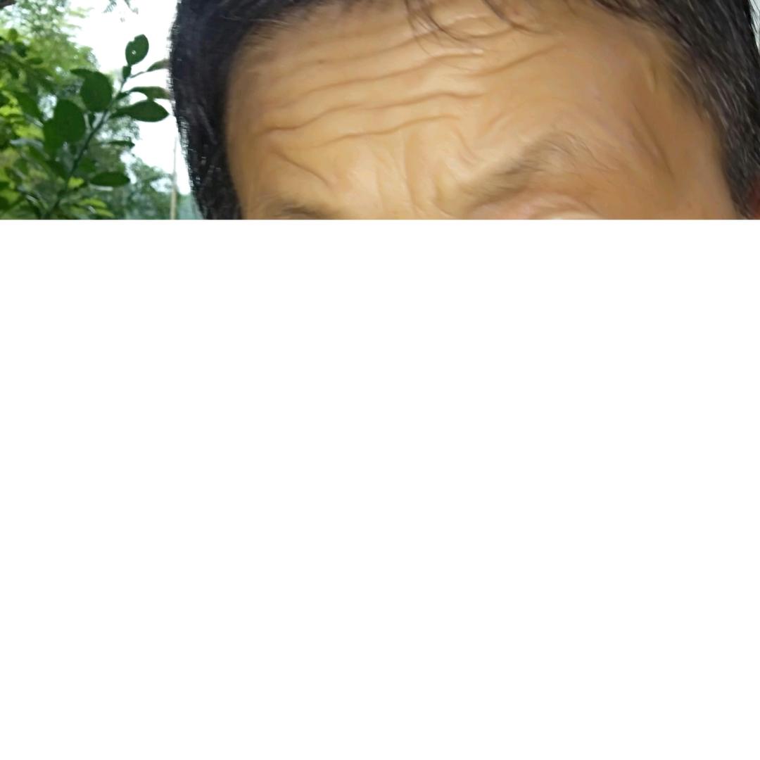 你好啊！