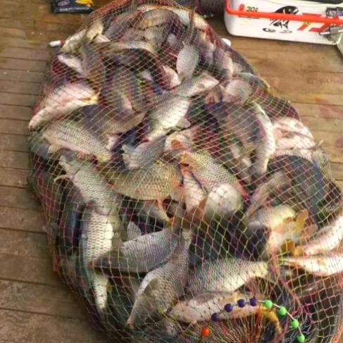 妖怪快到碗里来