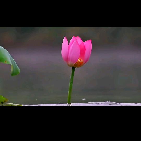 仁静♥