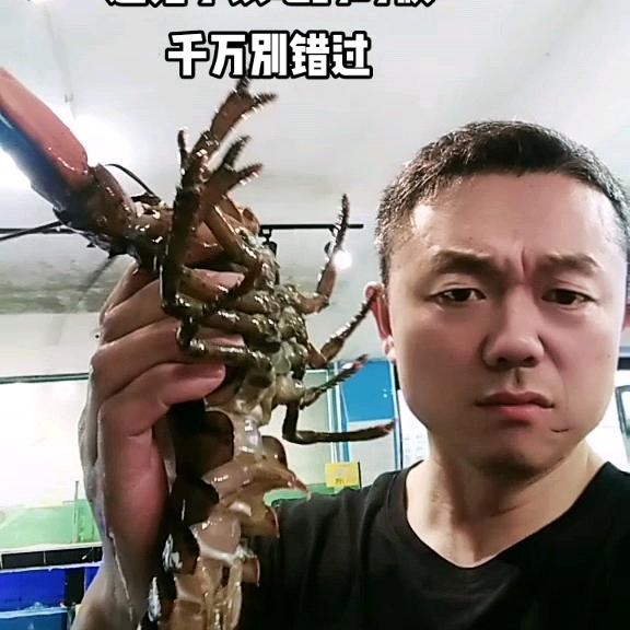 海利成海鲜超市官方号