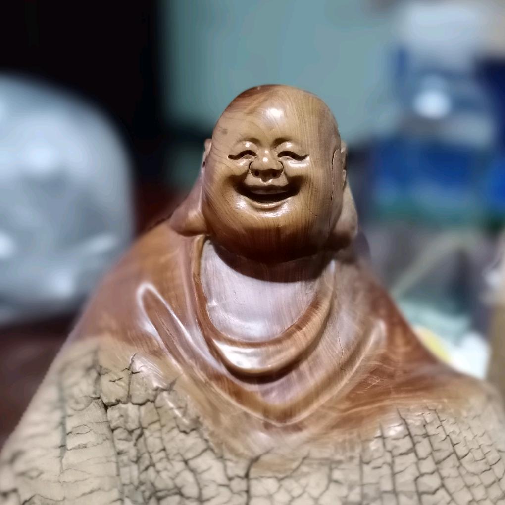 无树