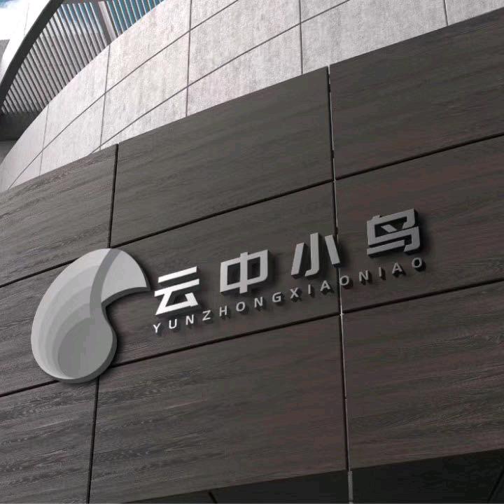 云中小鸟汽车音响