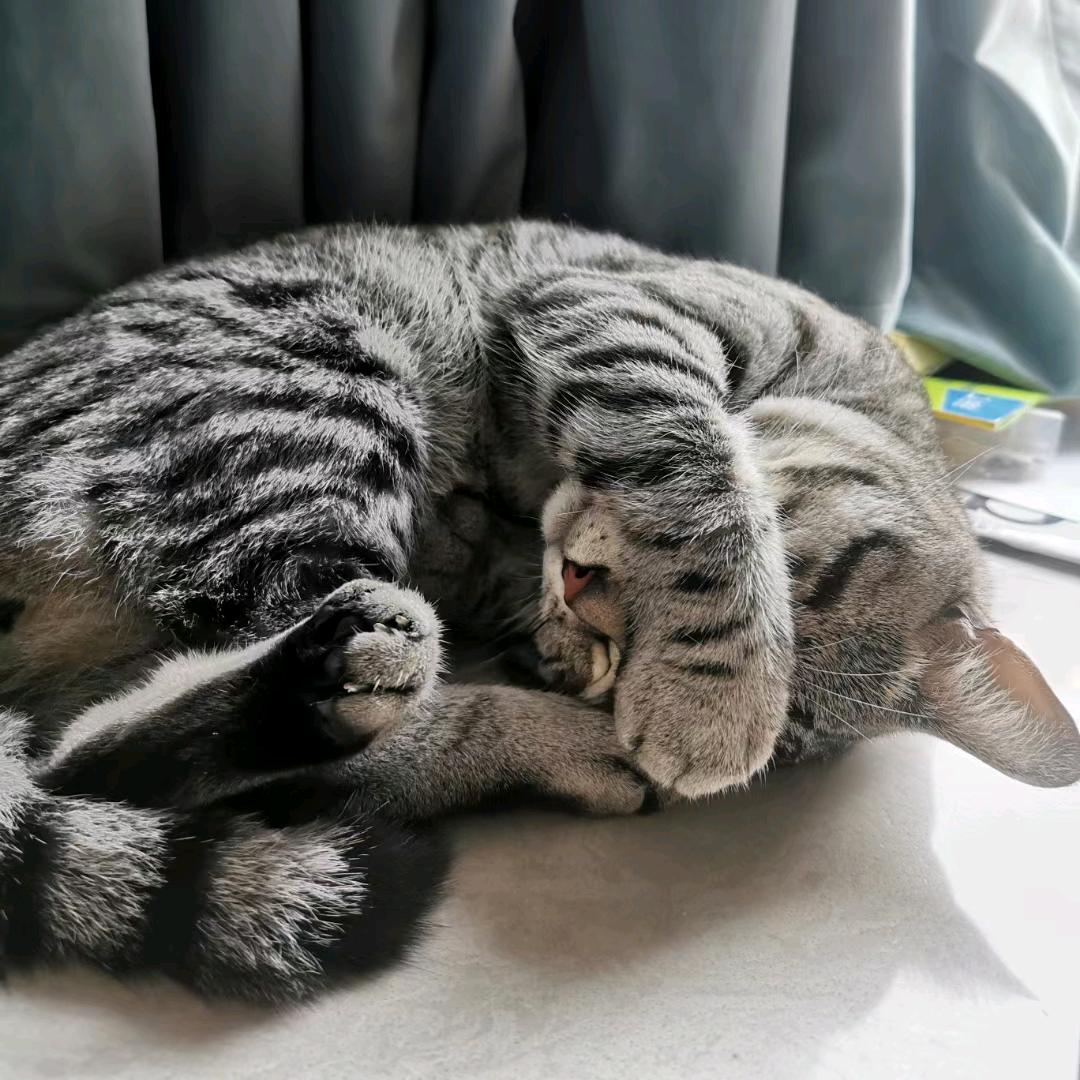 唔西迪西