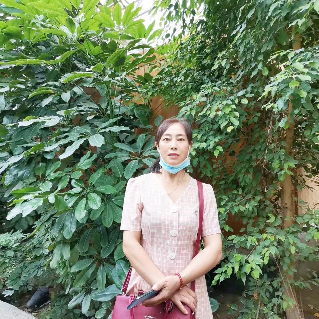 糊涂一生，木子