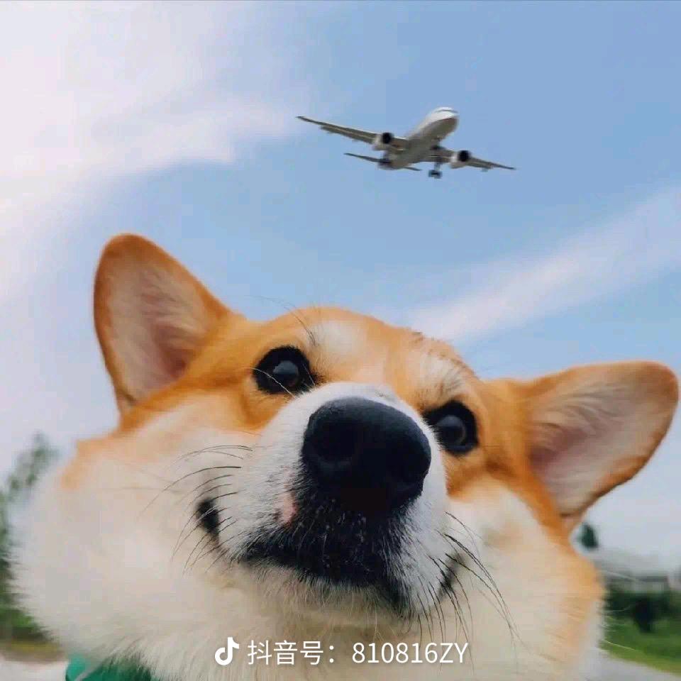 伶忄