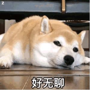 卓伟