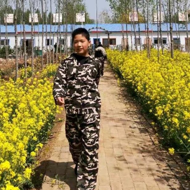 苦菜花