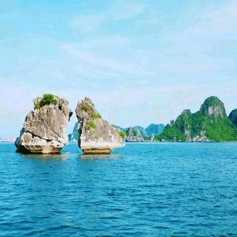 VNMV6688🇻🇳