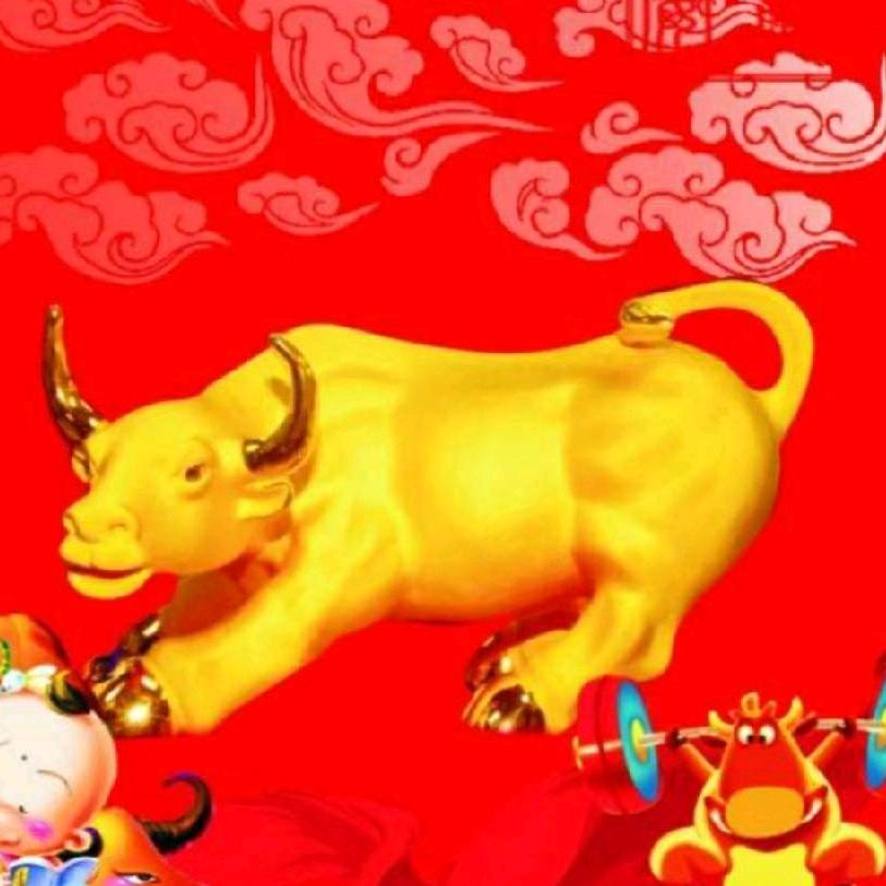 执着舍得
