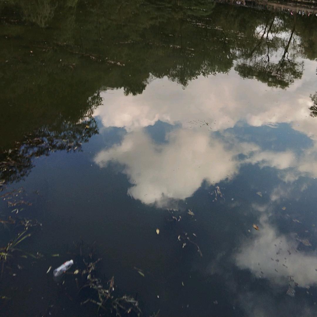 星坠入海，晚星予你