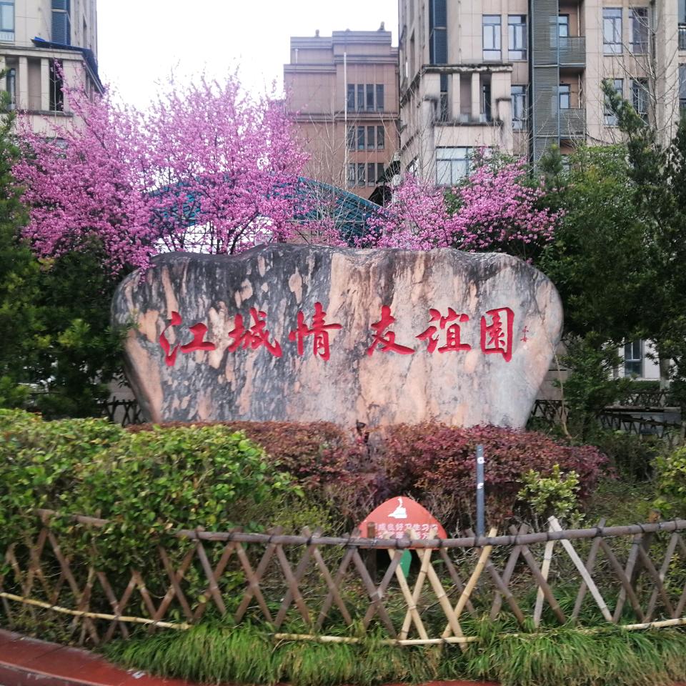 ❤️宋❤️小❤️宝❤️