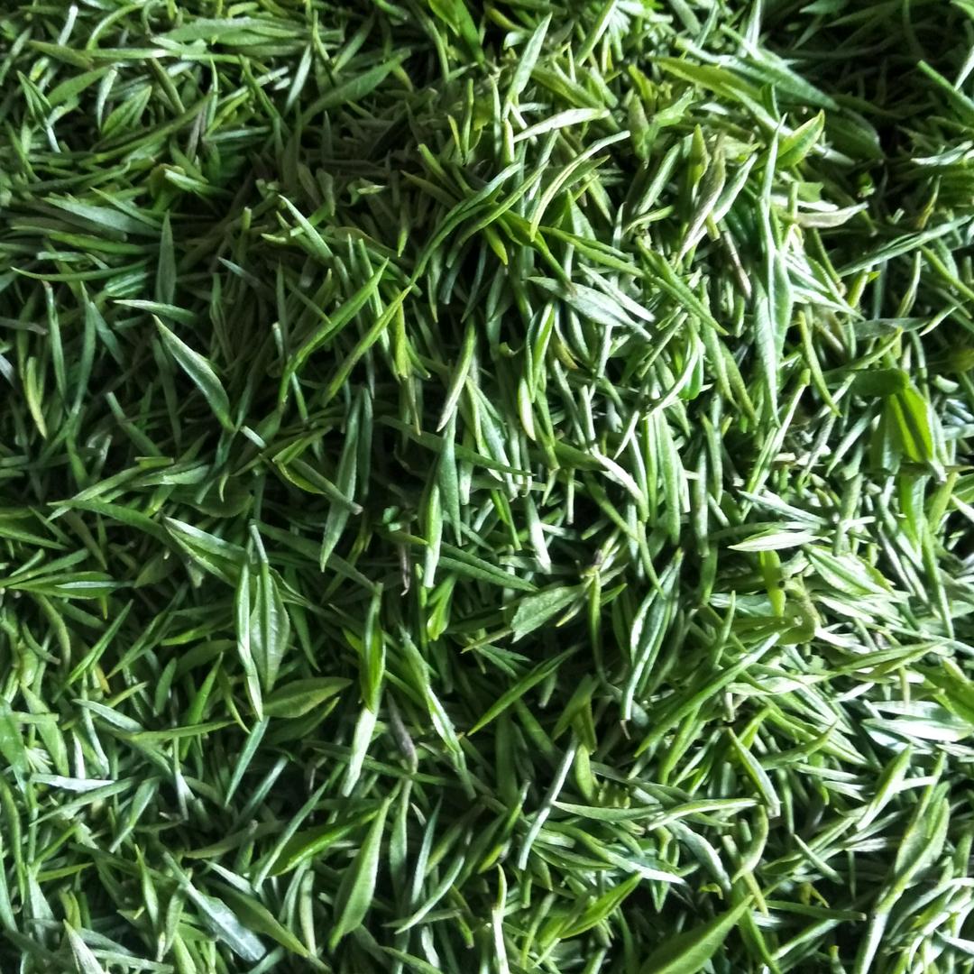 洪荒之力
