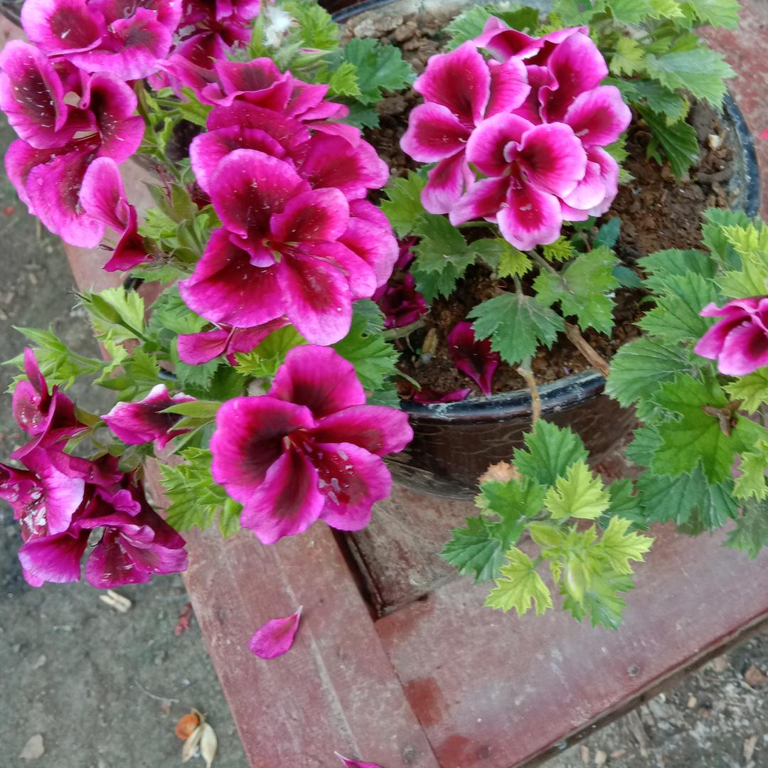 一笑(∗❛ัᴗ❛ั∗)而过