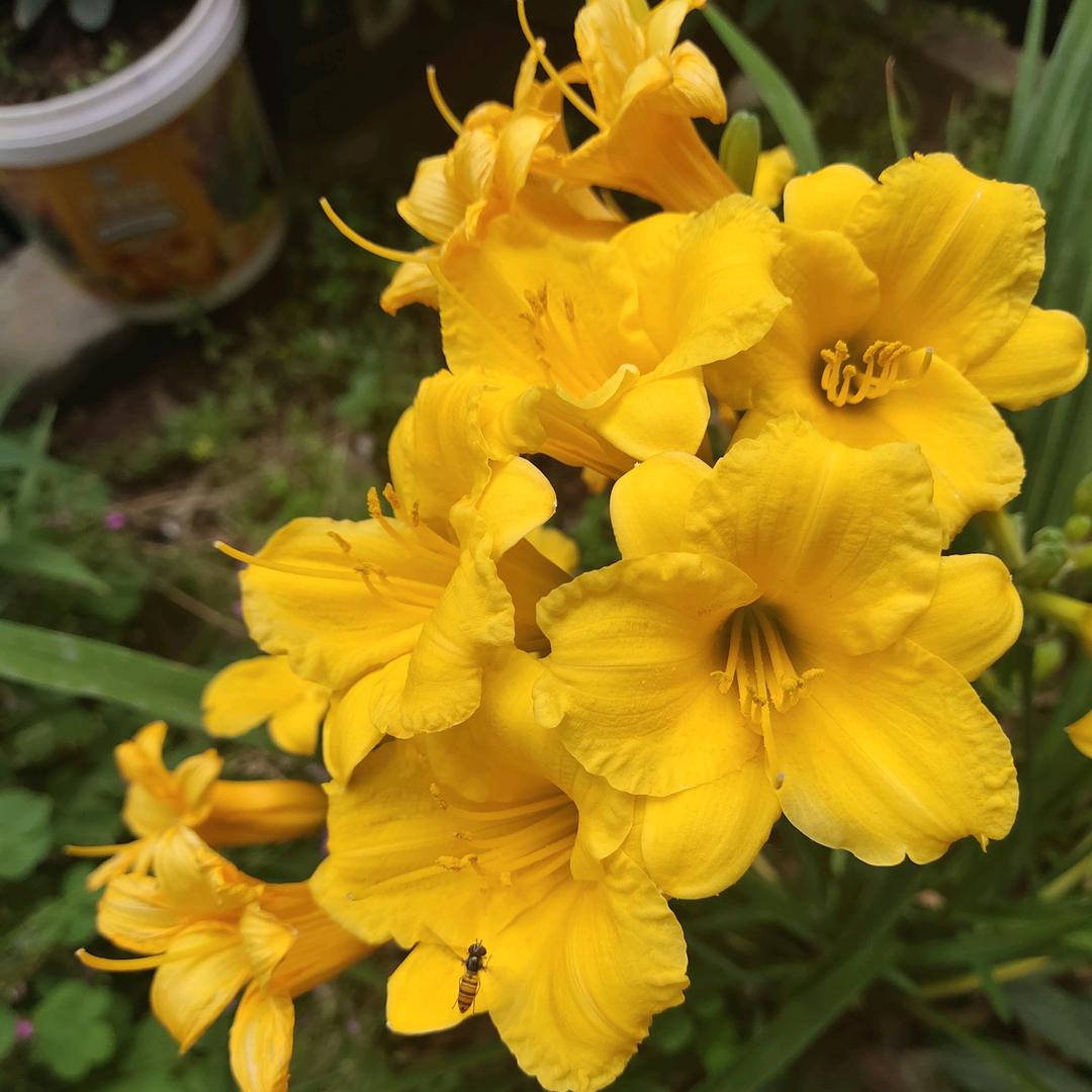 Jೄ೨ i n g ღ꧂